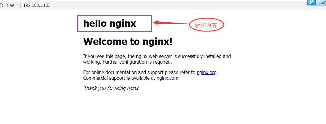 How to use docker to modify Nginx files