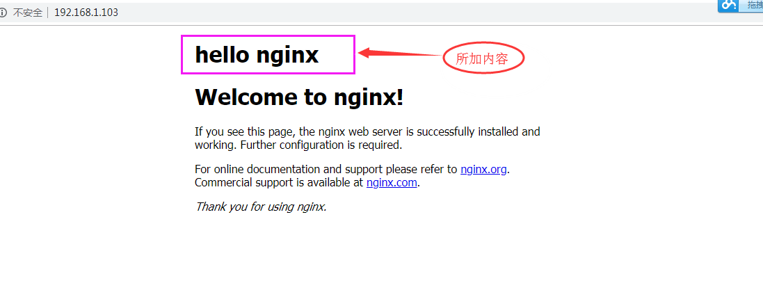 Docker를 사용하여 Nginx 파일을 수정하는 방법