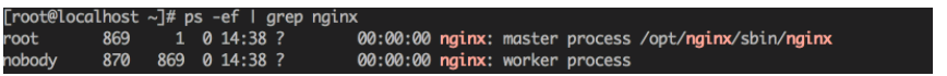 How to compile and install Nginx