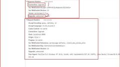 So konfigurieren Sie den Nginx-Reverse-Proxy-WebSocket