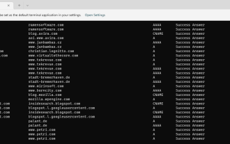 How to display all cached DNS entries on Windows 11