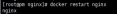 How to solve nginx startup failure