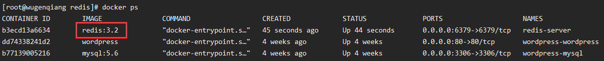 Docker를 사용하여 Redis를 빠르게 배포하는 방법