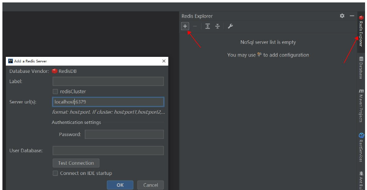 IDEA에서 Redis 플러그인을 사용하여 Redis 서버에 연결하는 방법