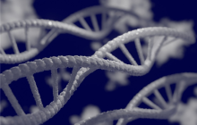 全国首个DNA存储模型"ChatDNA"亮相发布
