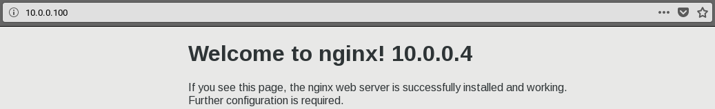 How to implement dual-machine hot backup with Nginx+Keepalived