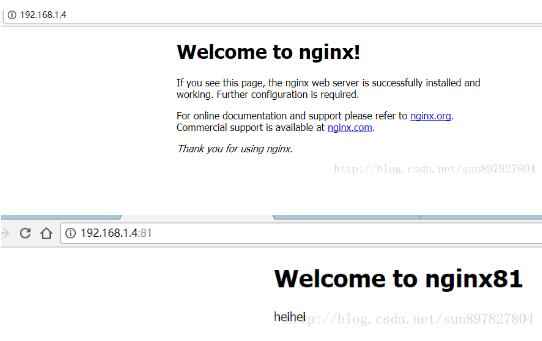 How does nginx enable one server to access multiple websites?