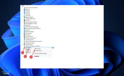 在 Windows 11 中下载和更新 USB 大容量存储设备驱动程序