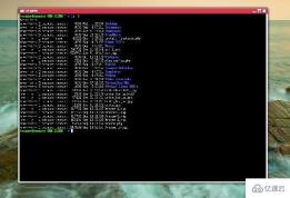Can I use a mouse in linux?
