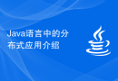 Java语言中的分布式应用介绍