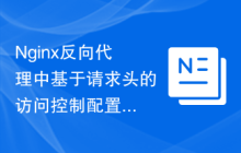 Nginx反向代理中基于请求头的访问控制配置