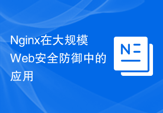 大規模な Web セキュリティ防御における Nginx の応用