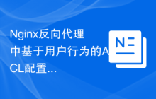 Nginx反向代理中基于用户行为的ACL配置
