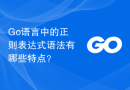 Go 语言中的正则表达式语法有哪些特点？