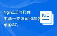 Nginx反向代理中基于关键词和黑名单的ACL配置