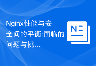 Nginx 성능과 보안 사이의 균형: 직면한 문제와 과제