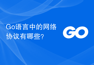 Go 言語のネットワーク プロトコルとは何ですか?