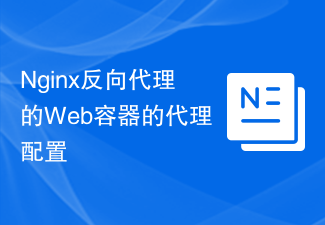 Nginx反向代理的Web容器的代理配置