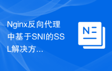 Nginx反向代理中基于SNI的SSL解决方案