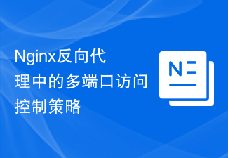 Nginx反向代理程式中的多埠存取控制策略