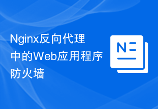 Nginx 역방향 프록시의 웹 애플리케이션 방화벽