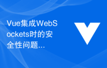 Vue集成WebSockets时的安全性问题与解决方案