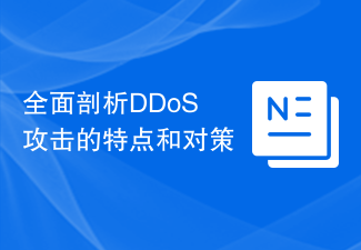 全面剖析DDoS攻击的特点和对策