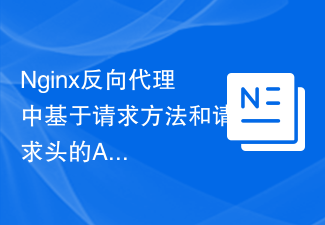 Nginx 역방향 프록시의 요청 방법 및 요청 헤더를 기반으로 한 ACL 구성