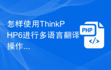 怎样使用ThinkPHP6进行多语言翻译操作？