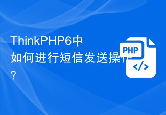 Bagaimana untuk menghantar mesej teks dalam ThinkPHP6?