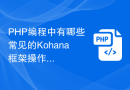 PHP编程中有哪些常见的Kohana框架操作？