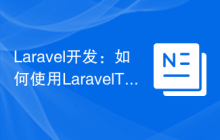 Laravel开发：如何使用Laravel Tinker获取应用程序信息？