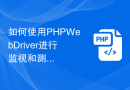 如何使用PHP WebDriver进行监视和测试结果的分析