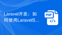 Laravel开发：如何使用Laravel Sanctum实现SPA身份验证？