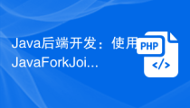 Java后端开发：使用Java ForkJoinPool进行API并行处理