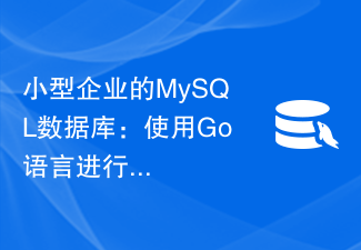 小型企业的MySQL数据库：使用Go语言进行快速开发