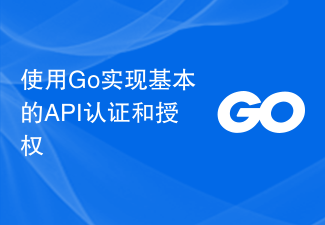 Implementieren Sie die grundlegende API-Authentifizierung und -Autorisierung mit Go