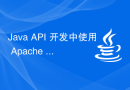 Java API 开发中使用 Apache Axis2 进行 Web Services 处理
