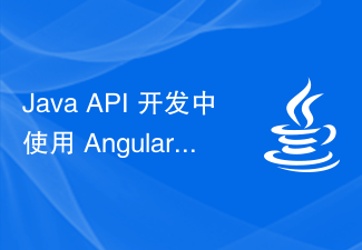 Java API 开发中使用 AngularJS 进行前端框架开发