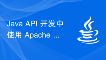 Java API 开发中使用 Apache Dubbo 进行 RPC 远程调用