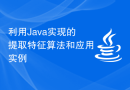 利用Java实现的提取特征算法和应用实例