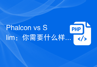 Phalcon vs Slim: どの PHP フレームワークが必要ですか?