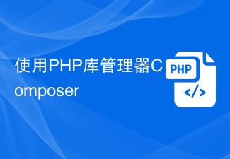 Using the PHP library manager Composer