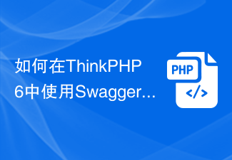 ThinkPHP6에서 Swagger를 사용하는 방법