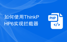 如何使用ThinkPHP6实现拦截器