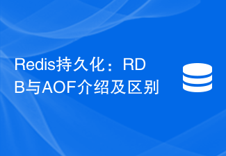 Redis 지속성: RDB와 AOF의 소개 및 차이점