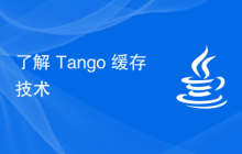 了解 Tango 緩存技術(shù)