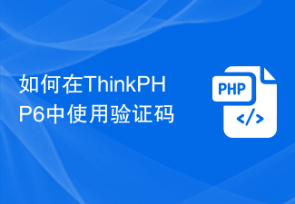 Cara menggunakan kod pengesahan dalam ThinkPHP6