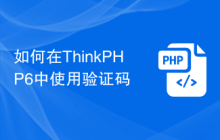 如何在ThinkPHP6中使用验证码