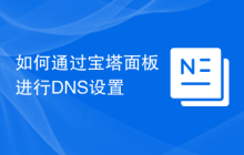 如何通过宝塔面板进行DNS设置